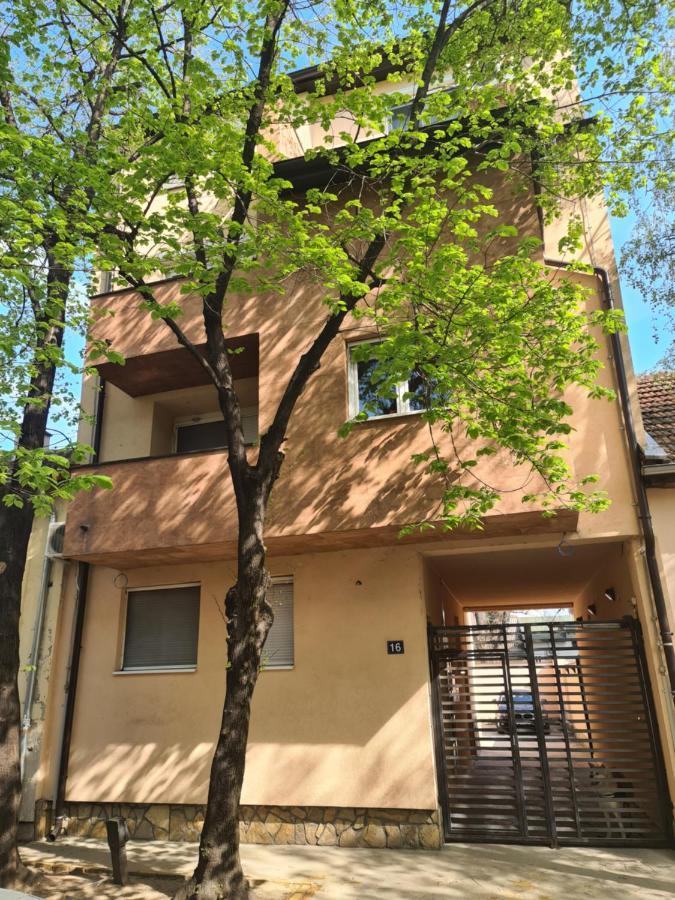 Adonis Apartment Újvidék Kültér fotó